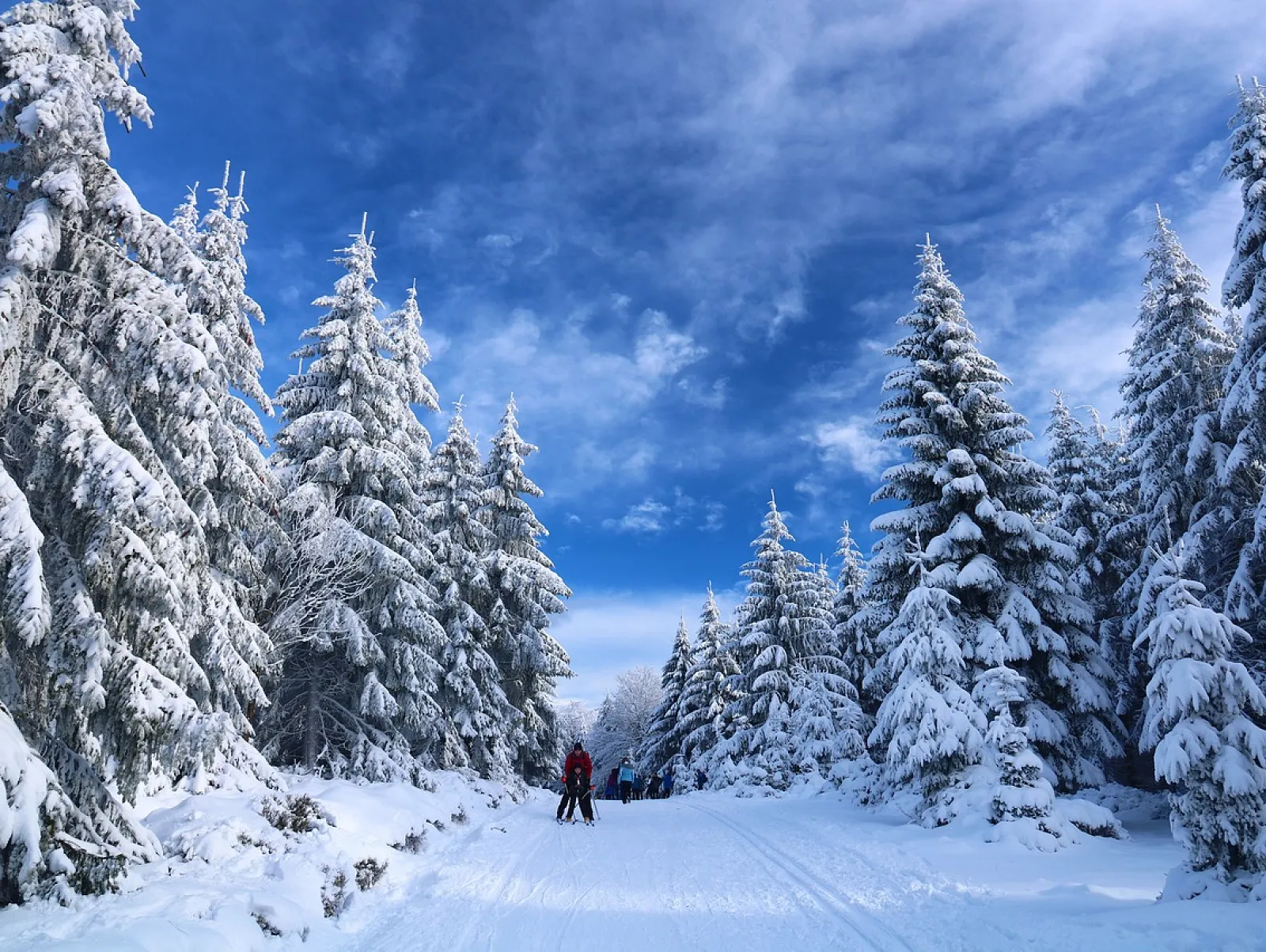 Snowshoeing &amp; Skiing Adventure in Montenegro