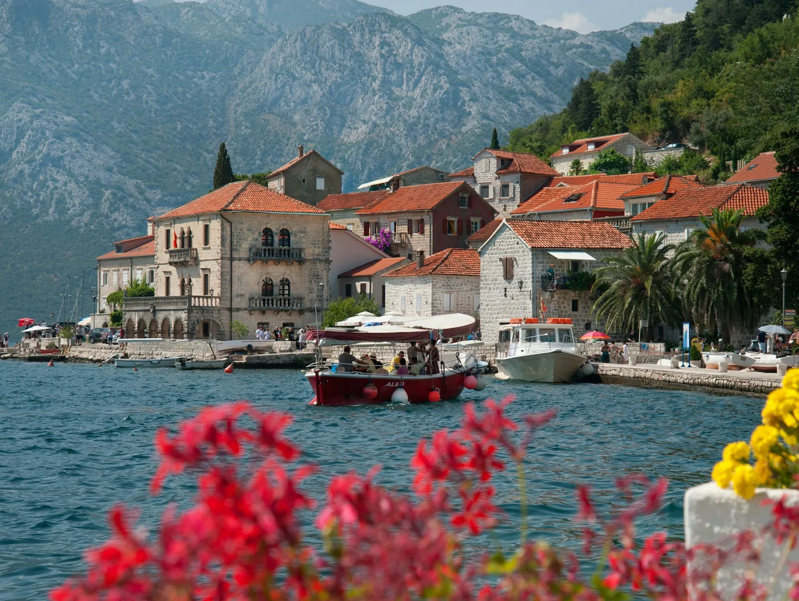 Kotor and Perast Tour